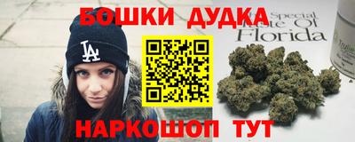 дурь Сланцы
