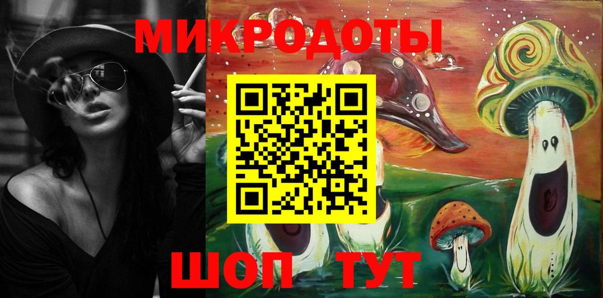 Протвино  Галлюциногенные грибы MAGIC MUSHROOMS  Вход с VPN  сколько стоит  Галлюциногенные грибы прущие грибы 